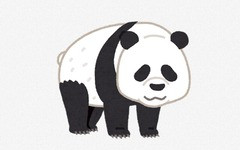 中国のパンダ2頭が米国に到着した模様