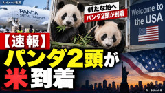 共同通信「【速報】パンダ2頭が米到着」何か言いたそうだ
