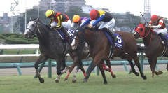 ママコチャ引退