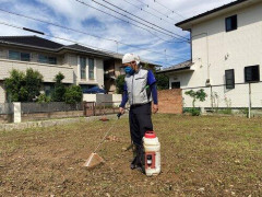 【困惑】裏庭につかう除草剤ってどれが1番いいんやｗｗｗｗｗｗｗｗｗｗ