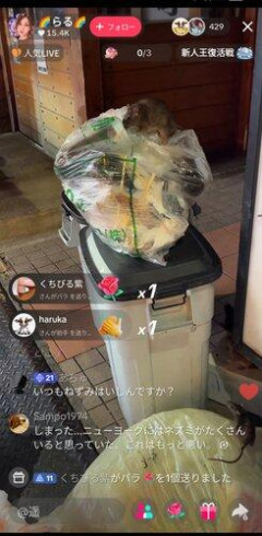 【悲報】東京さん、ネズミーランドになってしまうｗｗｗｗｗｗｗｗｗｗ