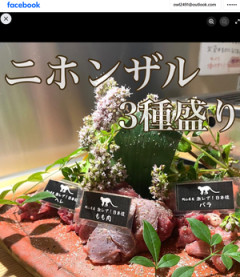 【画像】日本猿、食べられてしまう・・・