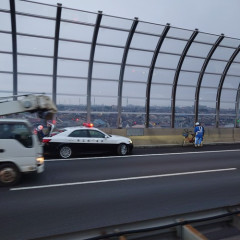 【悲報】自転車の男さん、高速道路を逆走するｗｗｗｗ