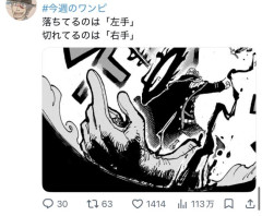 【画像】ワンピース最新話、ゾロが敵の右手を切断したのに左手が地面に転がる！！！！！