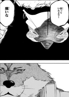 【BLEACH】東仙と狛村の関係好き