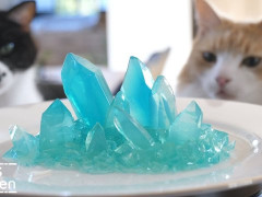 外国人「料理しよう！」JunsKitchenがクリスタルを作りながら猫と一緒に楽しんでる