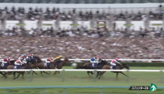 【悲報】中山競馬場、盛り上がってない😭