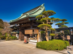 寺を観光してたら、「そろそろ閉門なので下に降りてください」と言われた。17時閉門に対して16:43だったからイラッときた…
