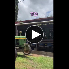 【動画あり】ベラルーシの牧場でとんでもない太もものお姉さんみつかる