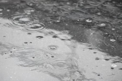 【まるで梅雨】東京都心は33日連続で雨を観測！過去の記録に並び記録更新は間違いなし？10/1まで36日連続雨か