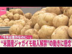 【悲報】農水省「すまん、ジャガイモ輸入止めたかったけどアメリカに押し切られた。日本の畑は終わる」