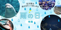 【悲報】きょう名古屋で1日過ごすんやけど何しよう🥺