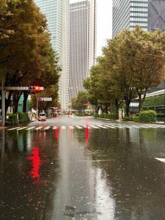 【緊急】東京、34日連続雨で世界記録更新