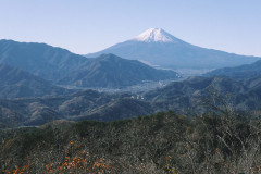 【衝撃】京都大学教授「日本は2200年には消滅間近です…。」 (※動画あり)