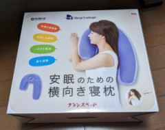 俺「このクッション、けっこう快適だな」嫁「気に入った？」→嫁が買ってきた昼寝用クッションをまた使おうとしたら、そこには先客がいて…
