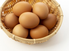【悲報】日本養鶏協会「たまごの価格なんだけど、年末にかけて値上がりの見通しですはい」
