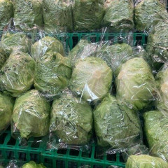 【悲報】レタス1玉400円超、パニック級高値の恐れ