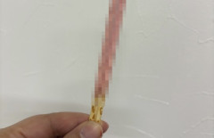 【画像】いちごポッキー、悲惨な姿に改変されスケスケｗｗｗｗｗ