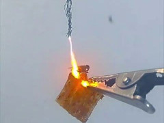 エサにとまったハエに頭上の電線から火花がバチッ「法的にはグレー、道徳的には最低、個人的には大好き」【海外の反応】