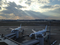 以前8回も海外旅行をして、そのうち帰国時に税関で荷物を調べられたのが4回。これって確率でいえば50％だよね？普通なの？多い？