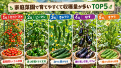 家庭菜園始めた結果w