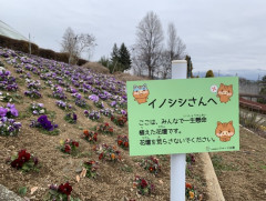 【画像】山梨のフルーツ園「イノシシさんここはみんなで一生懸命つくった花壇です。荒らさないでください。」→