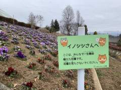 【悲報】山梨のフルーツ園「イノシシさんここはみんなで一生懸命つくった花壇です。荒らさないでください。」→