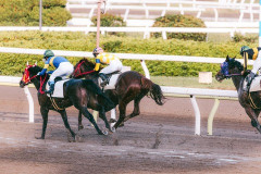 【悲報】ガーシー、競馬で368万円を的中させるも「税金払え！」と叩かれ大激怒してしまうｗｗｗｗｗｗ
