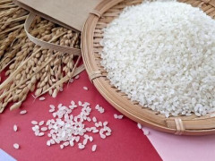 【悲報】「米を食べるという文化がもうちょっと…」カズレーザーが語る、日本のコメ農業が生き残るための『条件』がこちら・・・