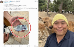 韓国人が奈良の鹿に紙幣を食べさせたという奈良の市議会議員のXのポストに韓国中がヒステリー