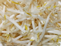 もやしの茹で時間で男の価値がわかる