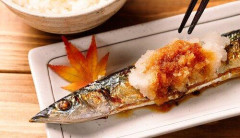 【悲報】大根おろし「なあ、ワイとコンビ組もうや」←天下取れそうな相方