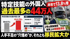 【過去最大】特定技能外国人、半年で13.8%増 家族帯同可能「2号」は130%激増