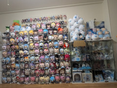 【画像】ブイチューバーファンの部屋、凄すぎるwwwwwwwww