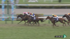 スプリンターズステークス(GⅠ) 反省会