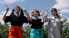 KAWAII LAB.新プロジェクト「KAWAII FARM」始動＆番組開始、目指すはリアルな“KAWAII村”
