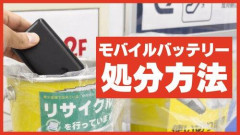 【悲報】ワイ、モバイルバッテリーの捨て方がわからんからその辺の草むらに投げてるｗｗｗｗｗｗｗｗｗｗ