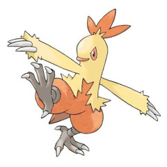 【ポケモン】人気のあるアチャモとバシャーモに挟まれてて可哀想なやつ