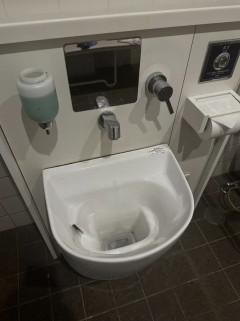 外国人「日本のトイレに謎の装置があったんだけど何に使うの…？」