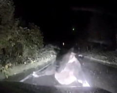 【北海道】停車した車が子連れのヒグマに襲われてしまう衝撃映像。