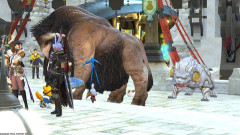 【FF14】魔獣使いのペット非表示機能が欲しいという要望。「都市内にいるデカいペットが邪魔すぎる」「リテベルに重なるの止めて」