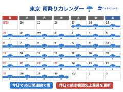 【超悲報】東京、ガチで晴れない・・・