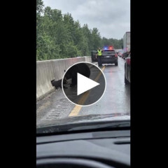 【クマ！🐻】ドライバー女さんクマに突撃され「やばいやばいやばいやばいやばい」🚘