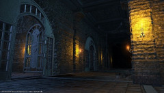 【FF14】初心者がムービーを見ている間にタンクが先行→「これって普通なの？」