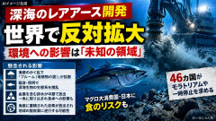 GoogleやSamsungなど77社、日本政府が深海レアアース採掘を推進するなら制裁すると発表