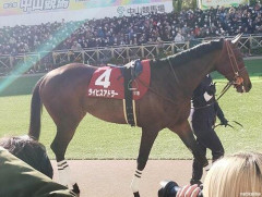 【悲報】2歳馬「オーストリアの画家」、「ヒトラー」を連想させると初勝利の2日後に改名へ