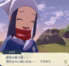 【ポケモン】ですので