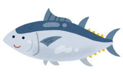 魚ってさあ刺身で食うか塩焼きにするか砂糖醤油味醂で煮るかしか無くね？