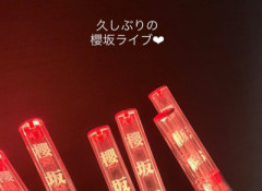 【櫻坂46】かなり久しぶり！？増本綺良卒セレ、あのOGらが関係者席に【15th Single BACKS LIVE!!】