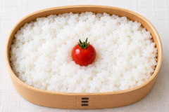 【悲報】生成AIがここまで嫌われてしまった理由